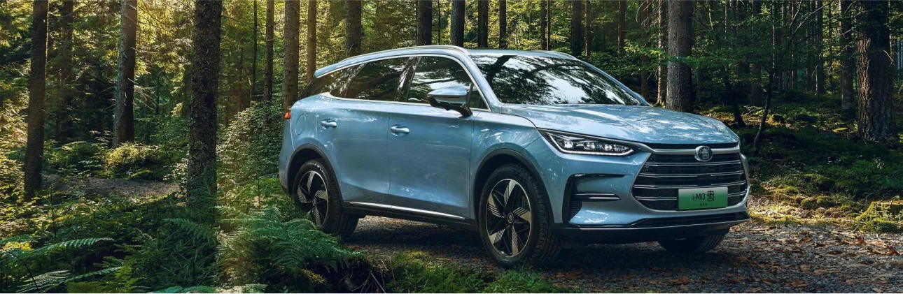 Luxury Car in Forest